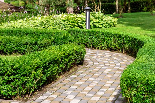 Cost of Paved Landscaping in Chandler