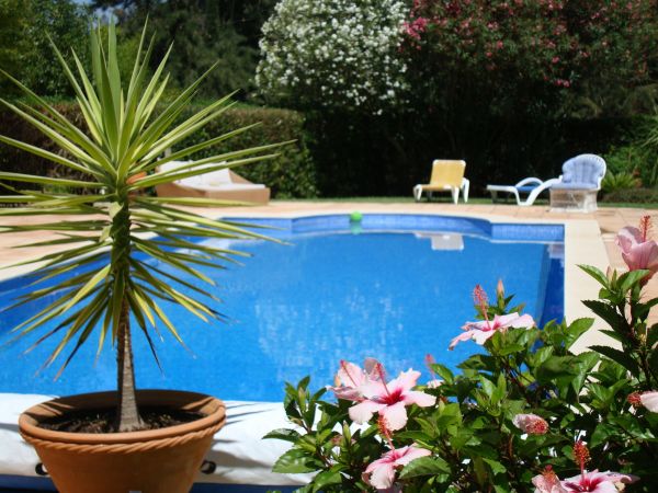 Pool Terrace Renovation in Chandler