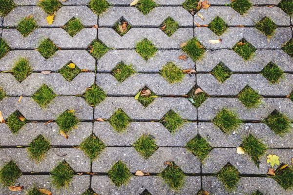 Cost of Porous Paver Installation in Chandler